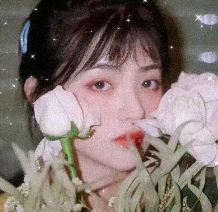 动物世界名人录